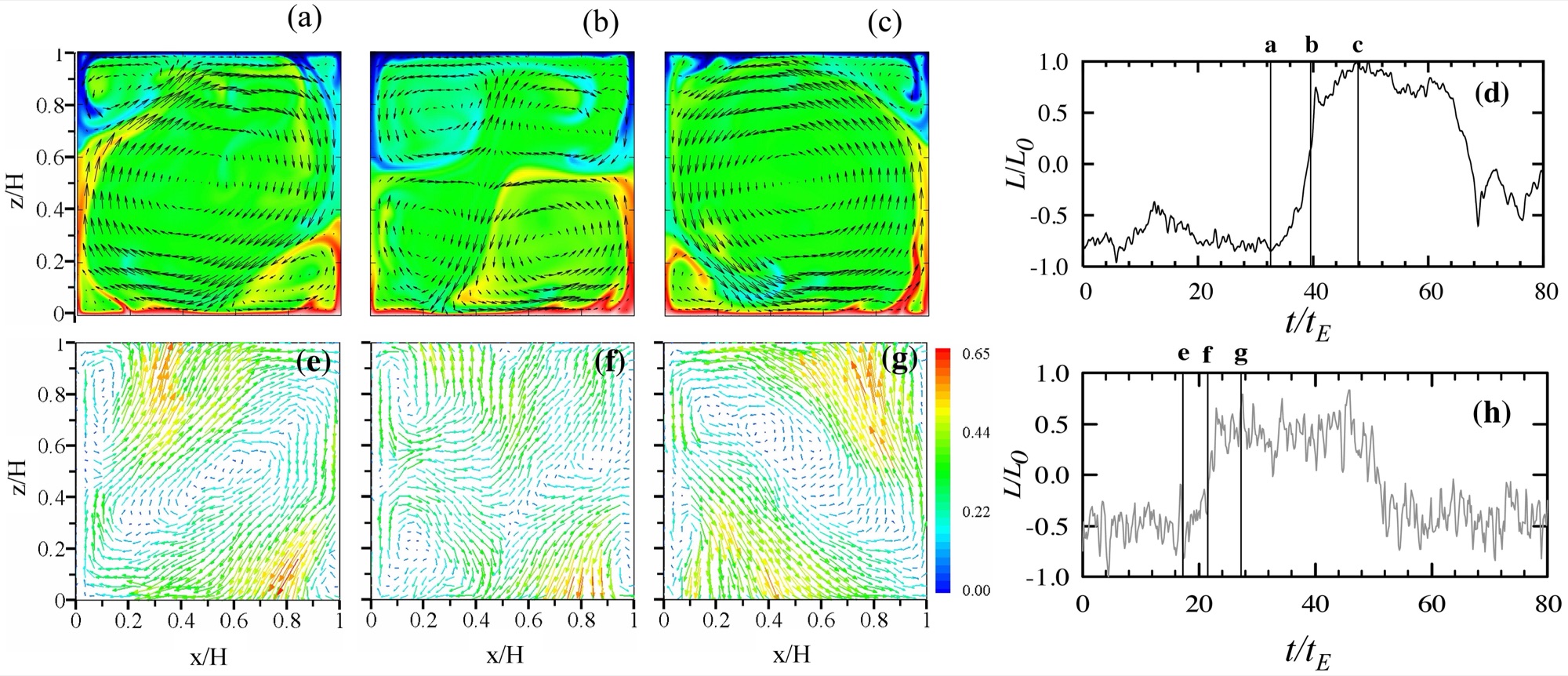Temperature and velocity field snapshots showing large-scale circulation reversals in 2D Rayleigh-Bénard convection, numerical and experimental