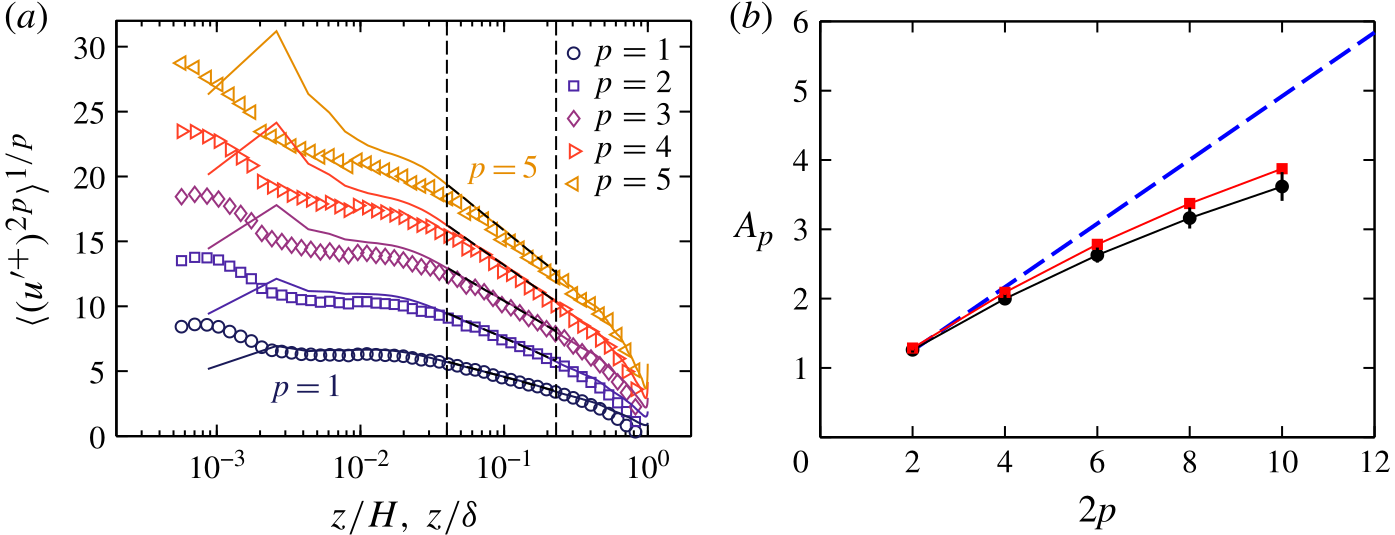 Even-order velocity moments against height and their coefficients against moment order