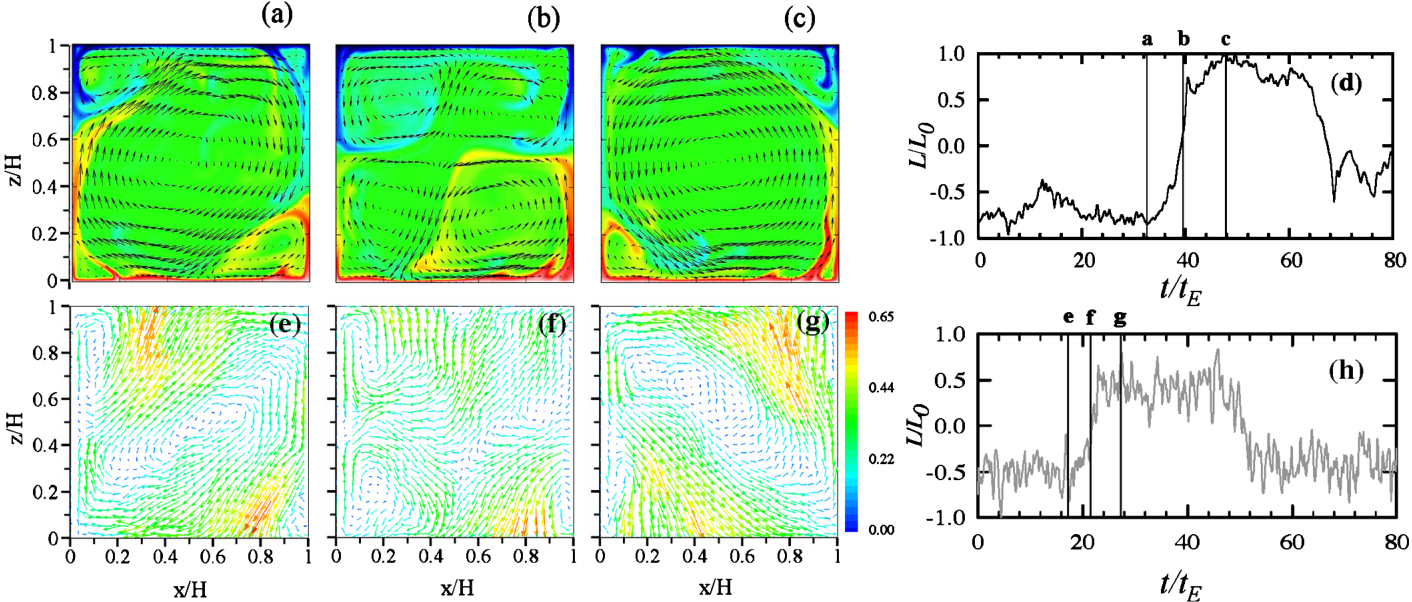 Temperature and velocity fields through a convection flow reversal, with the angular momentum trace
