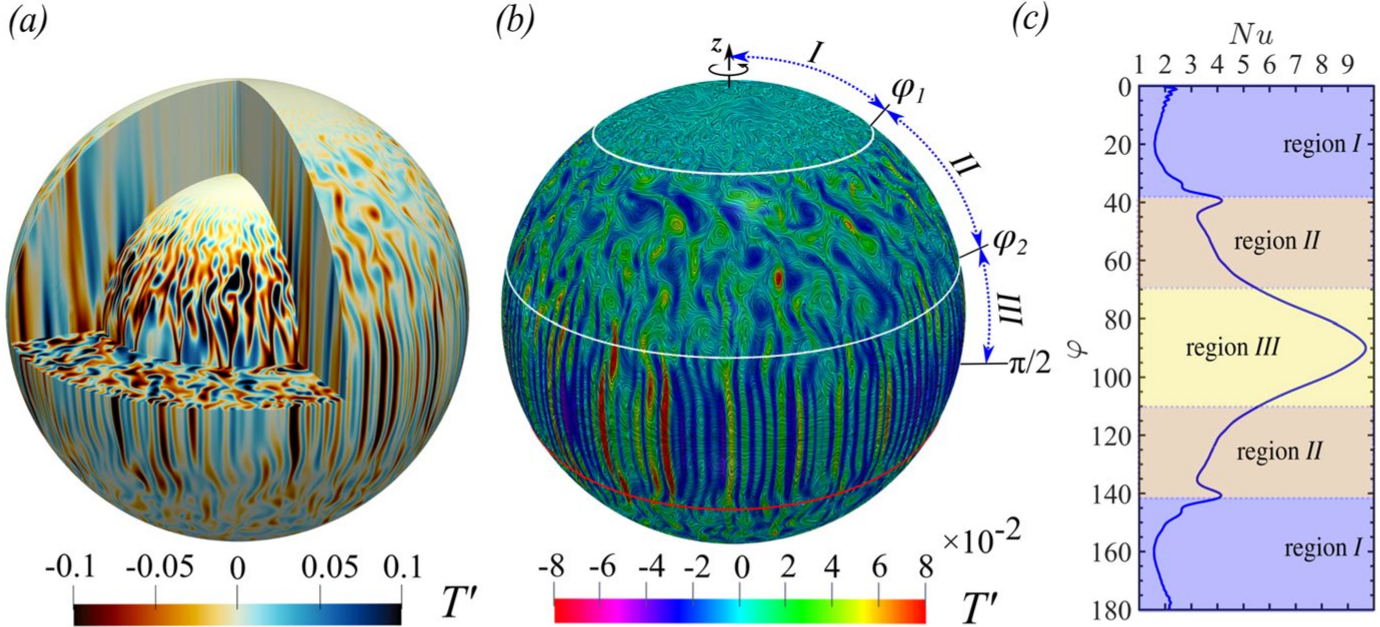 Temperature fluctuation on a rotating sphere with heat transport plotted against latitude